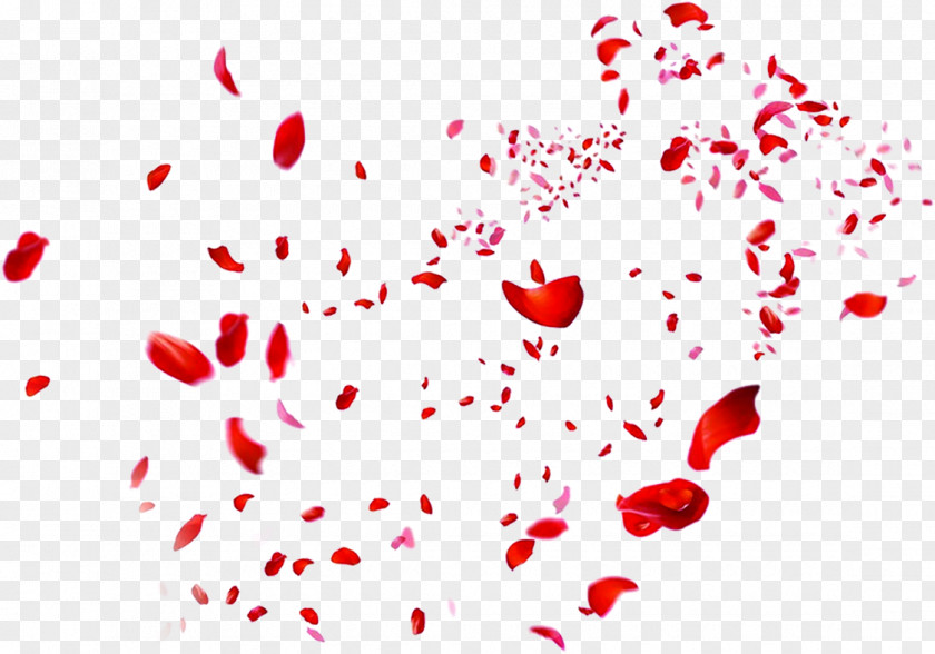 Scattered Red Rose Petals Beach Petal Heart PNG