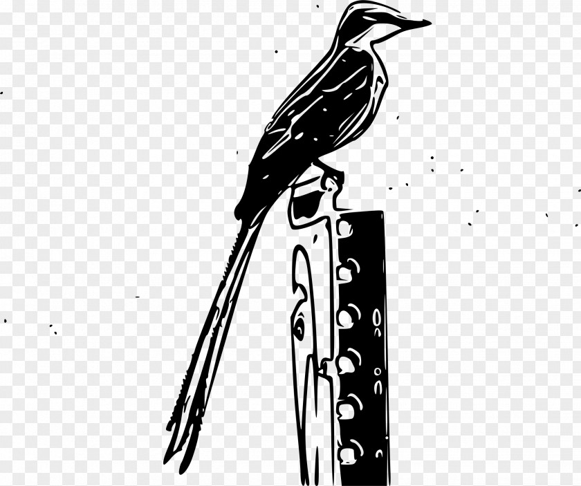 Scissor Bird Scissor-tailed Flycatcher Clip Art PNG