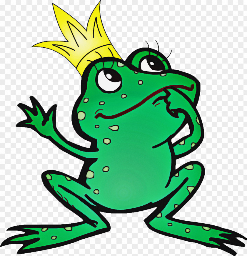 Tree Frog Shrub Green Gray Treefrog Hyla True PNG
