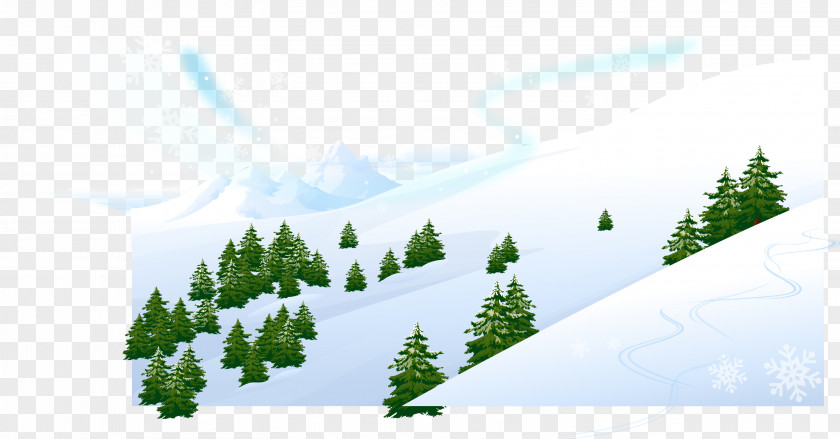 White Snow Slopes Of Touch Green Holiday Template Email PNG