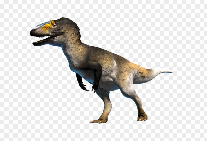 Dinosaur Stock Photography Velociraptor Royalty-free PNG