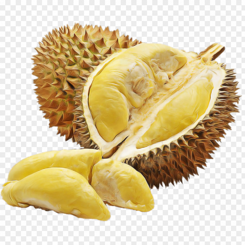 Durian Fruit Food Cempedak Ingredient PNG