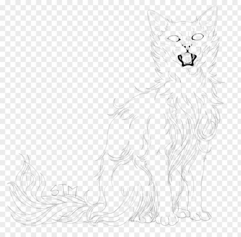 Hairy Whiskers Red Fox Dog Cat Sketch PNG