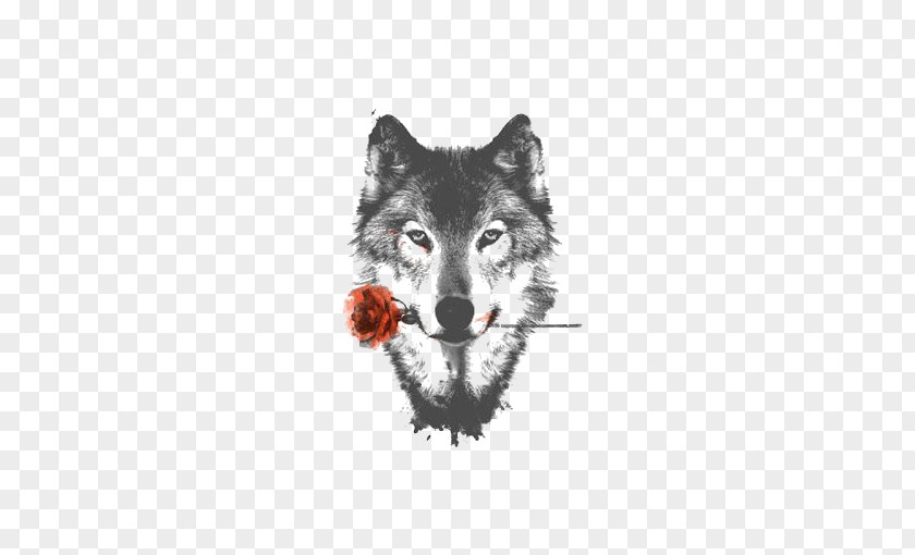 Sketch Gray Wolf Arctic HTC Desire HD High-definition Video Display Resolution Wallpaper PNG