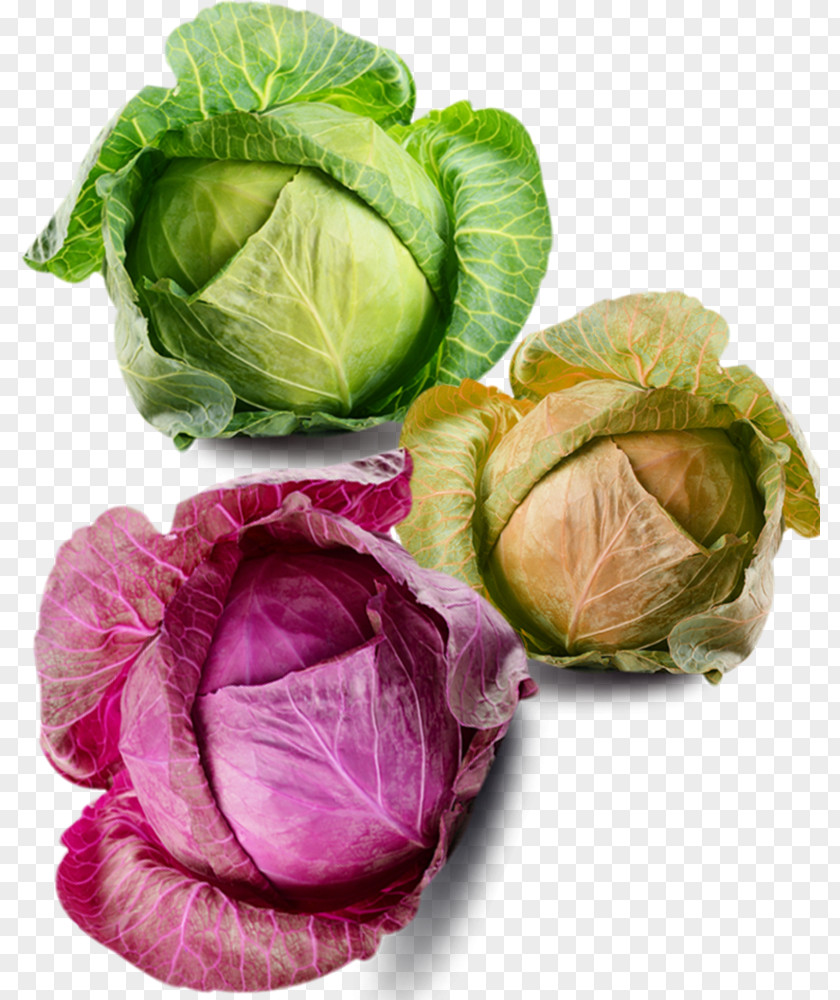 All Kinds Of Cabbage Material Savoy Cauliflower Brussels Sprout Vegetable PNG