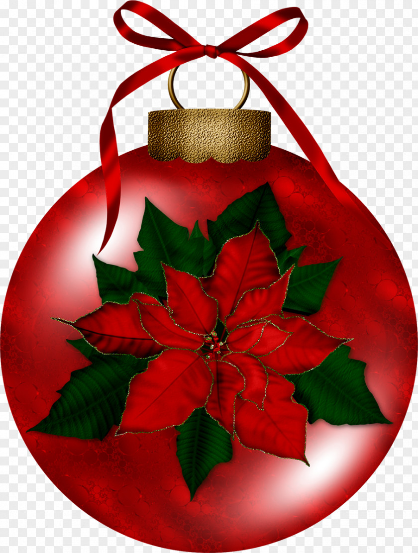 MEXICAN FLOWERS Poinsettia Christmas Decoration Flower Clip Art PNG