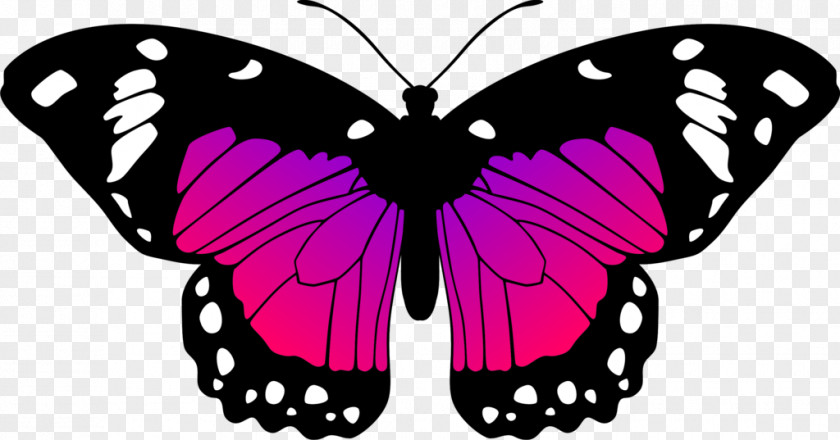Pink Butterfly Monarch Black And White Drawing Clip Art PNG