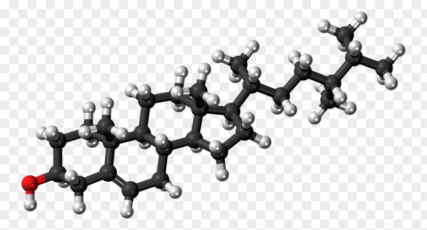 Campesterol Cholesterol Steroid Pharmaceutical Drug Atorvastatin Dehydroepiandrosterone PNG