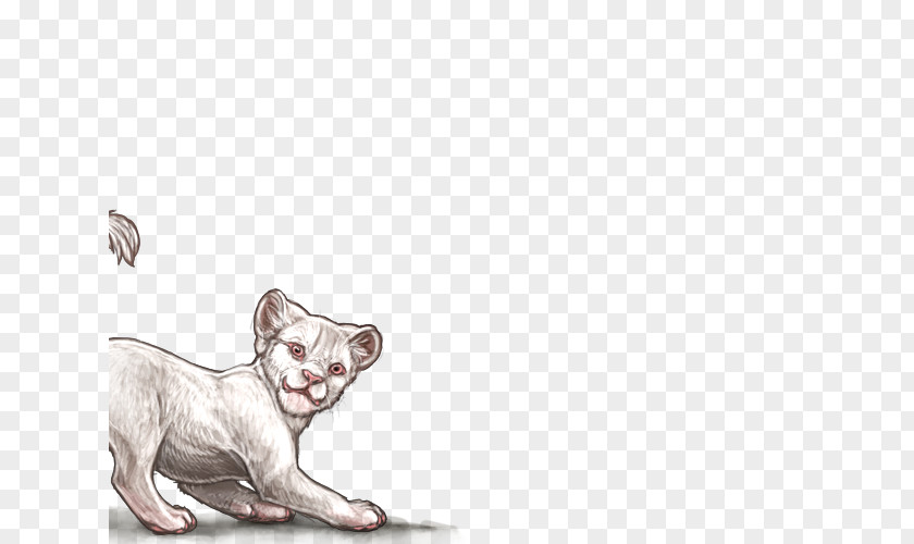 Gazania Lion Felidae Cat Dog Kitten PNG