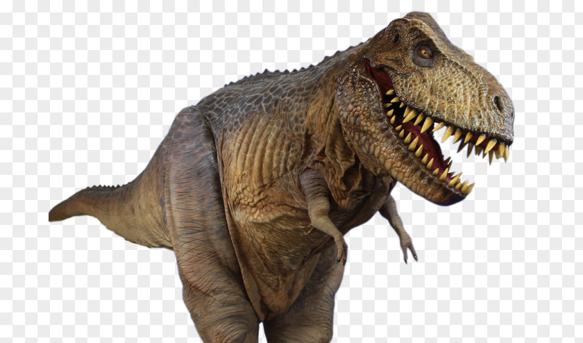 T-rex Tyrannosaurus Spinosaurus PNG