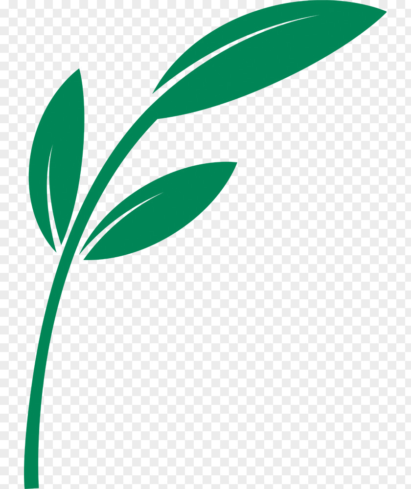 Tanken Leaf Clip Art Plant Stem Line Logo PNG
