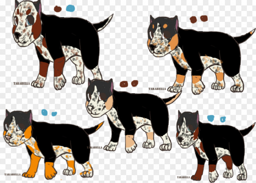 Cat Dog Breed Tiger PNG
