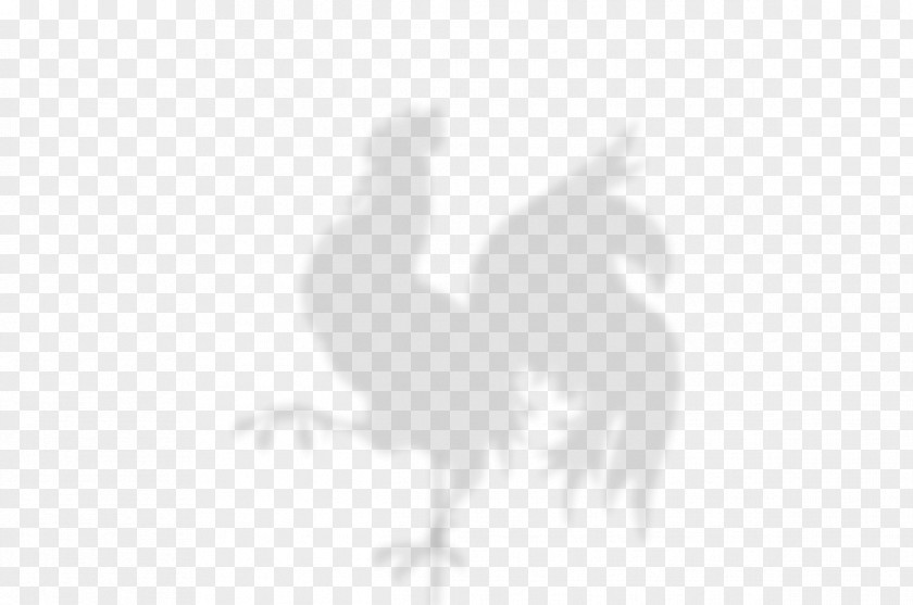 Chicken Rooster Feather Bird Beak PNG