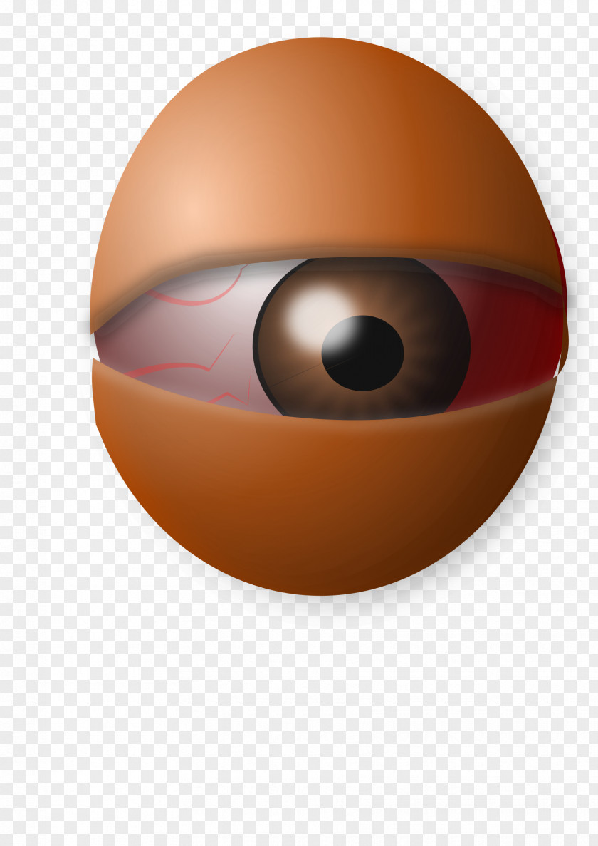 Egg Eye Globe Clip Art PNG