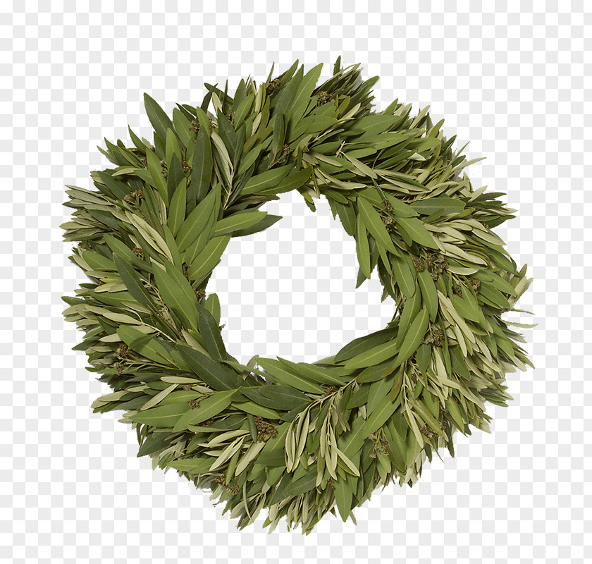 Olive Wreath Gift House Dining Room PNG