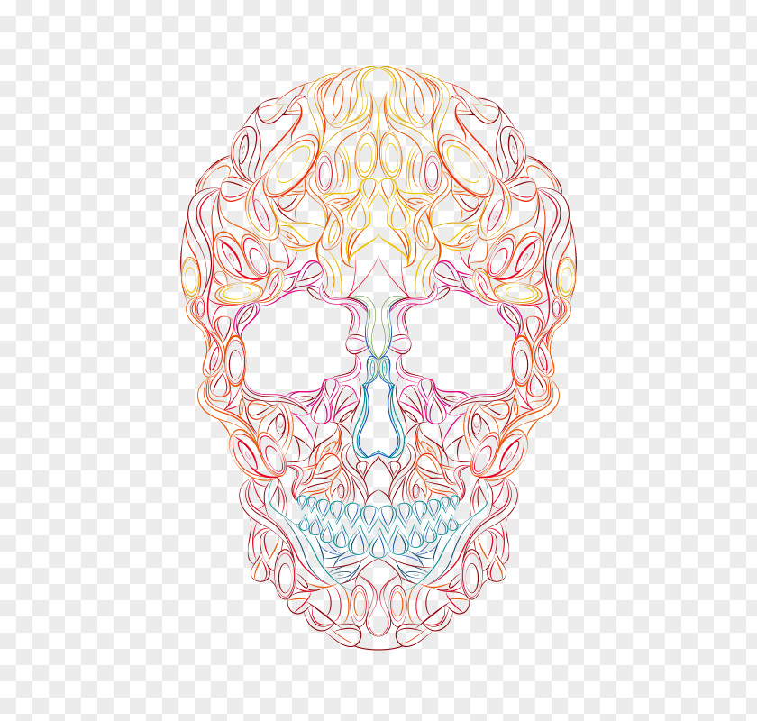 Skull And Flower Sketch Drawing Pink M Jaw Organism PNG