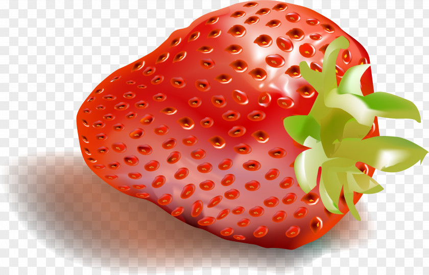 Strawberry Decorative Pattern Vector Material Free Buckle Aedmaasikas PNG