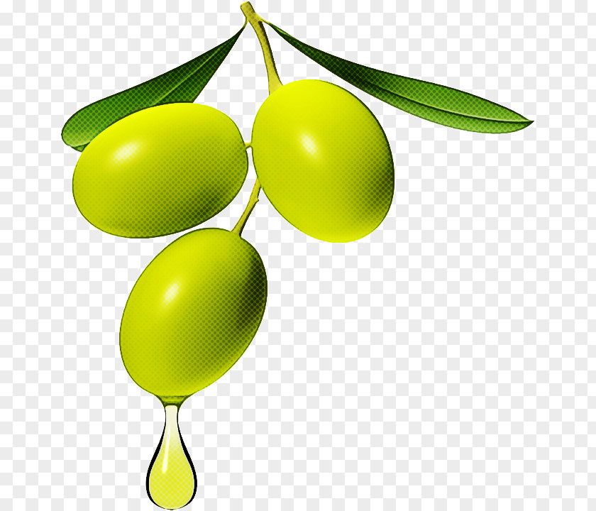 Tree Leaf Olive Yellow Fruit Plant PNG