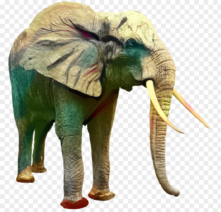Asian Elephant Clip Art Image PNG