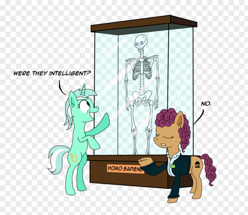 Pony Holocene Extinction Homo Sapiens Human PNG