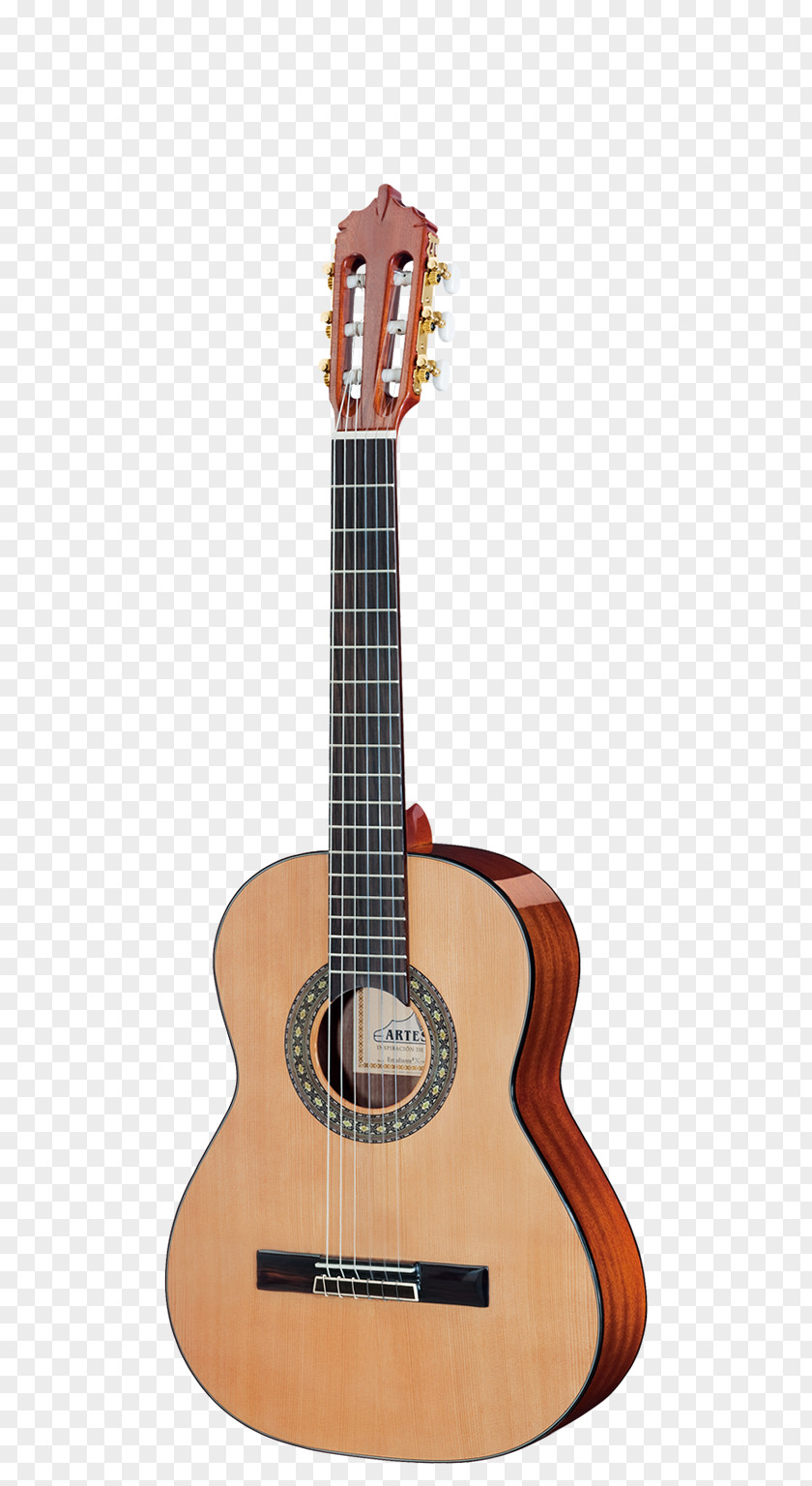 Acoustic Guitar Rosewood Fingerboard Dalbergia Latifolia Spruce PNG