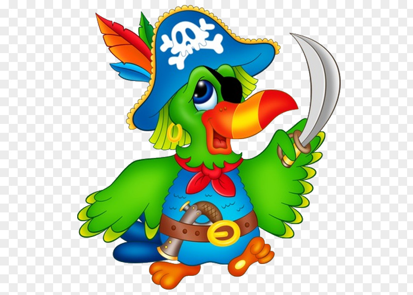 Bullfinch Pirate Parrot Piracy Clip Art PNG