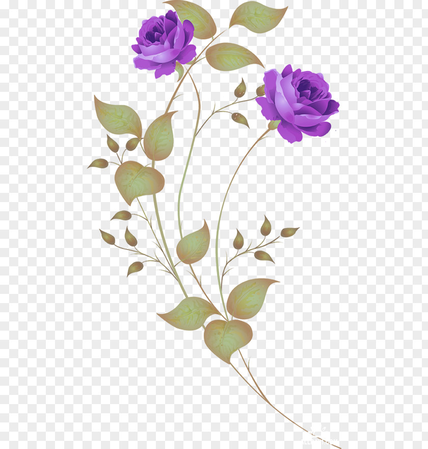Flower Blue Stock Photography Clip Art PNG