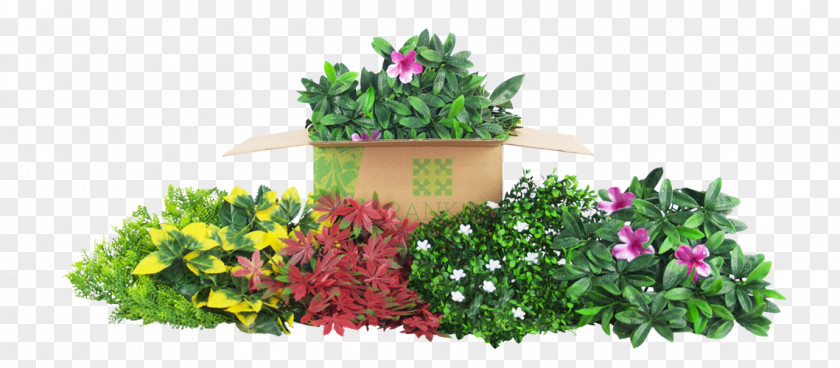 Flower Flowerpot Floral Design Green Wall Follaje Window Blinds & Shades PNG
