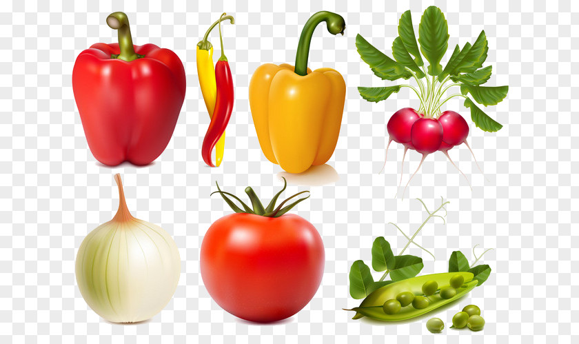 Green Vegetables Chili Pepper Bell Capsicum Royalty-free PNG