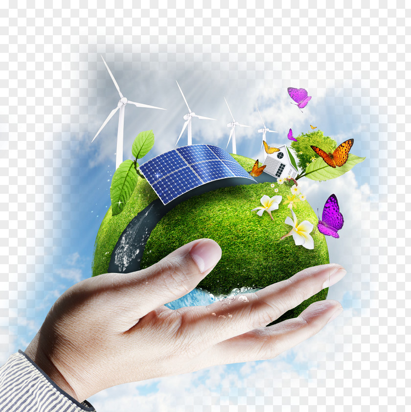 Hands Holding Green Ecological Environment Image Environmental Consulting Consultant Firm Business PNG