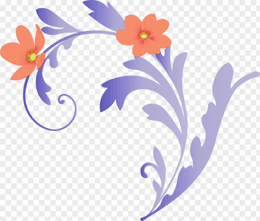 Plant Wildflower PNG