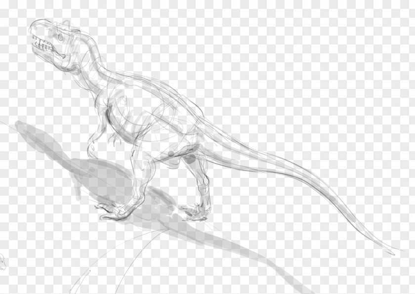 Scribbles Velociraptor Tyrannosaurus Drawing Line Art Sketch PNG