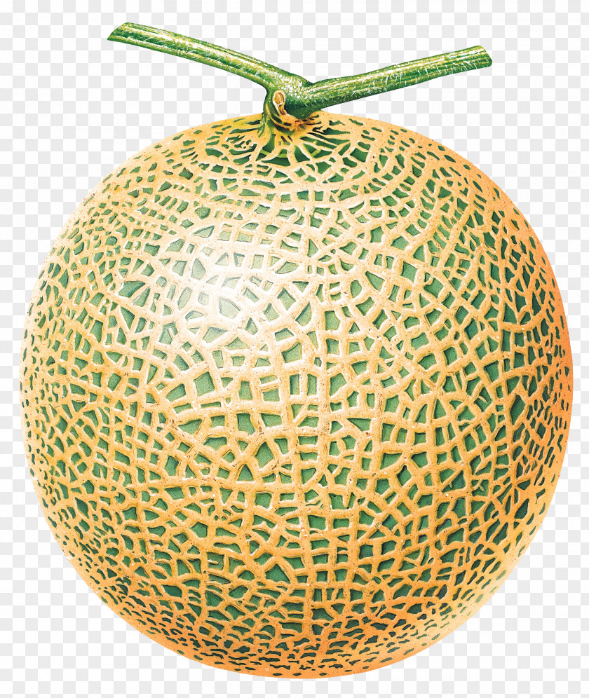 The Whole Melon Cantaloupe Honeydew Fruit PNG