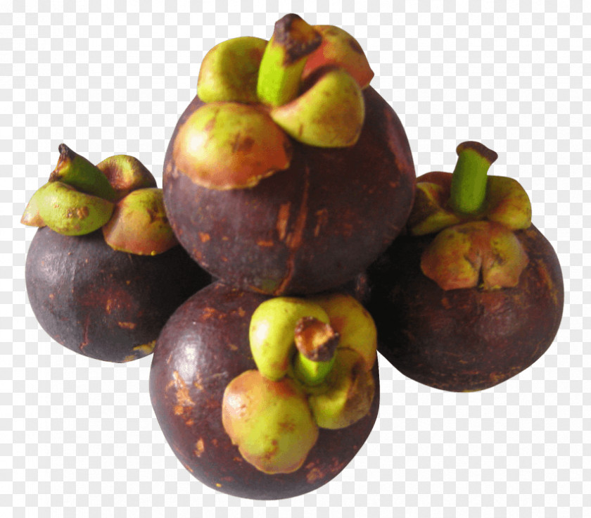 Blackberry Image Purple Mangosteen Fruit Clip Art PNG