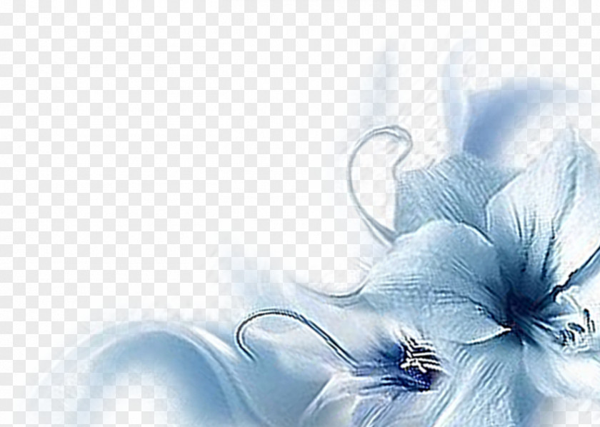 Blue Enchantress Wallpaper PNG