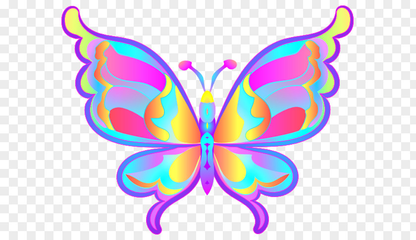 Butterfly Animation Clip Art PNG