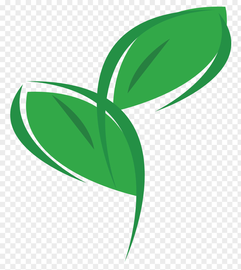 Eco Plant Environmentally Friendly Logo Clip Art PNG