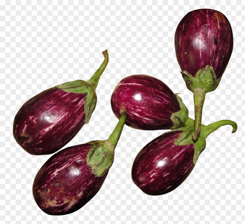 Fresh Brinjal Eggplant Vegetable Fruit Tomato Food PNG