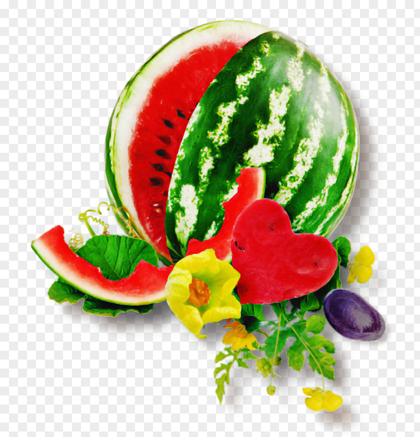 Fruit Tree PNG