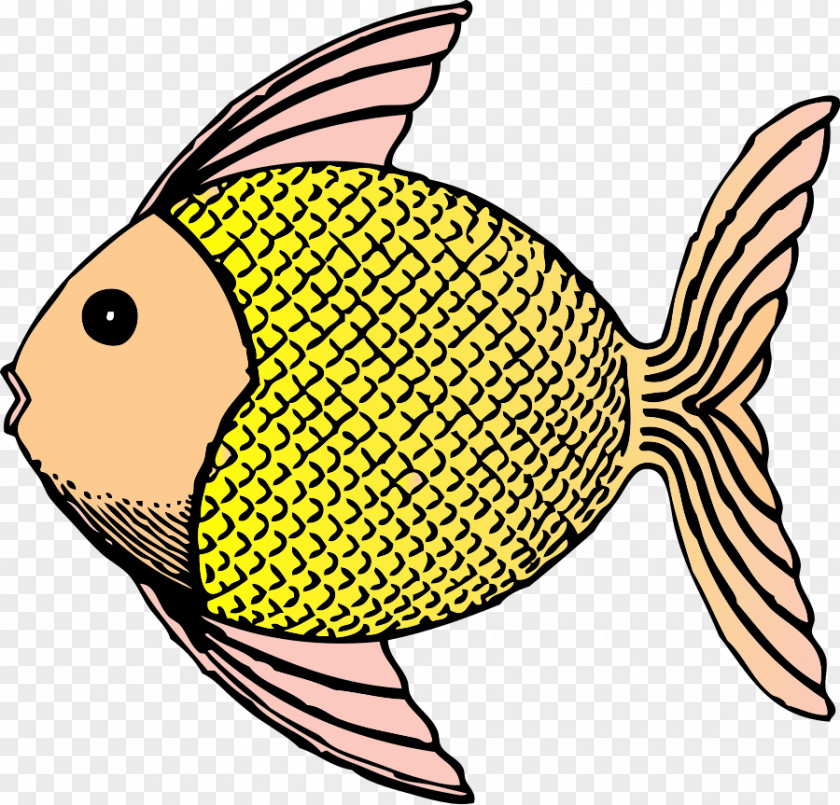 Gold Fish Clipart Drawing Clip Art PNG