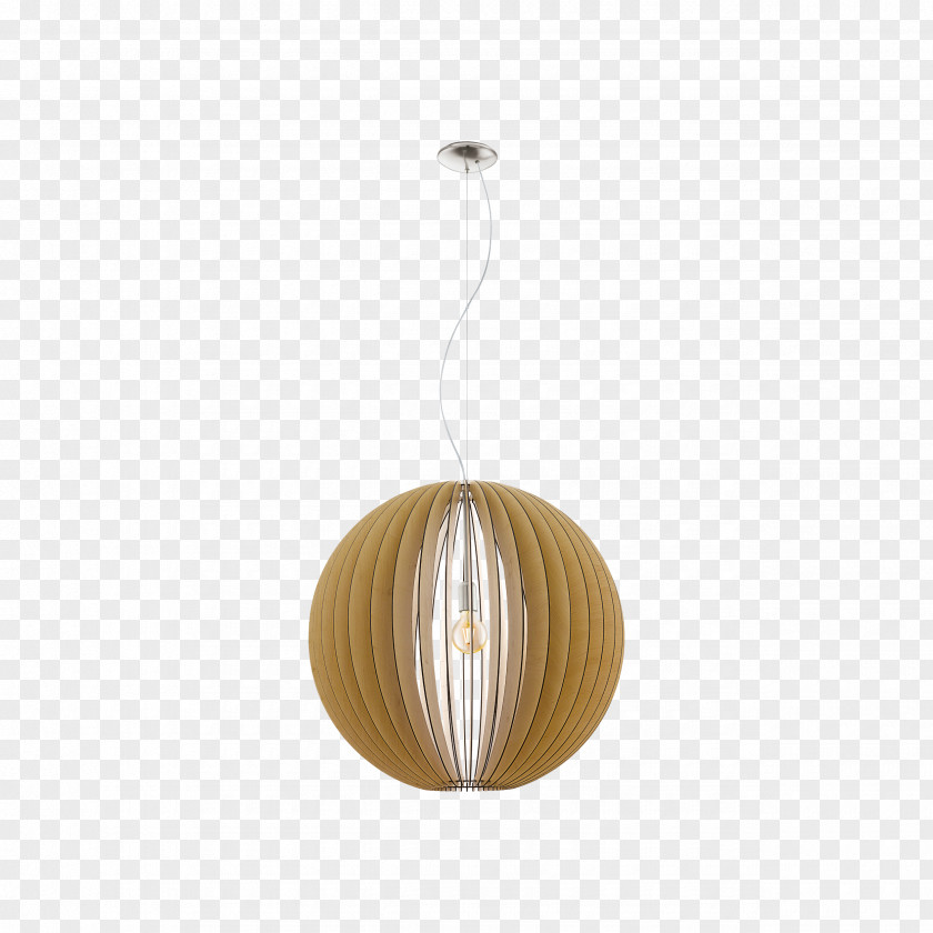 Outdoor Light Effects Eglo Cossano Pendant Fixture Lamp PNG