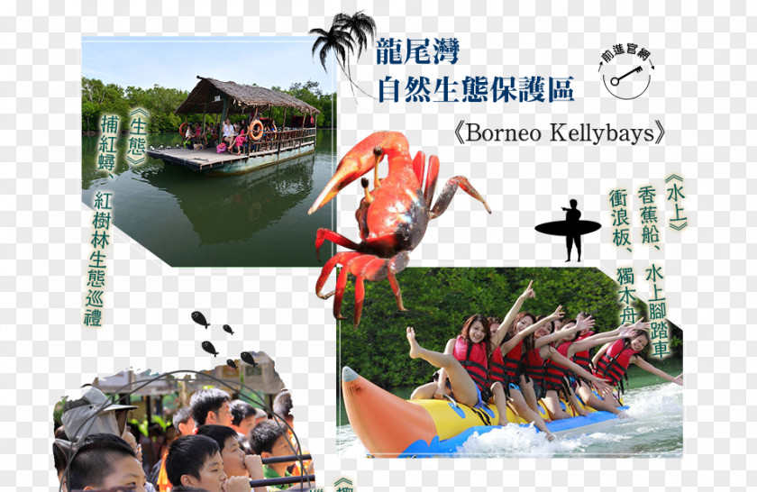 Travel Malaysia Leisure Advertising Vacation Tourism Collage PNG