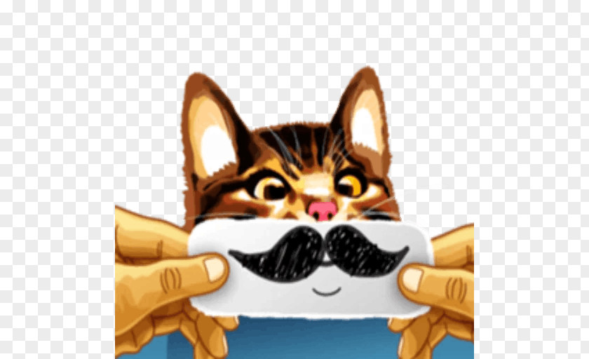 Cat Whiskers Kitten Telegram Sticker PNG