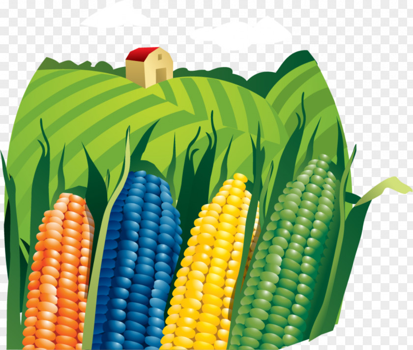 Corn Field Farmer Agriculture Clip Art PNG