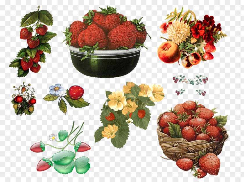 Hand-painted Strawberry Clip Art PNG