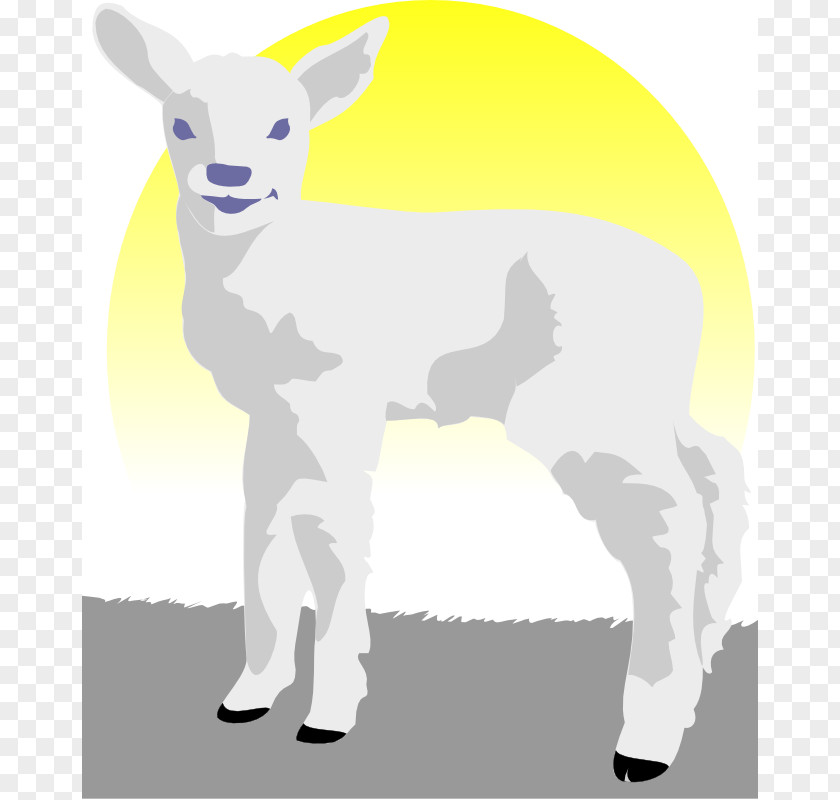 Lamb Image Sheep And Mutton Clip Art PNG