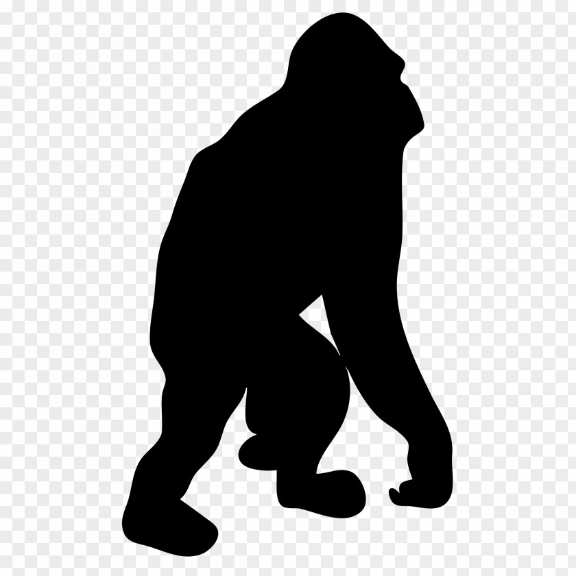 Orangutan Vector Silhouette Drawing Clip Art PNG