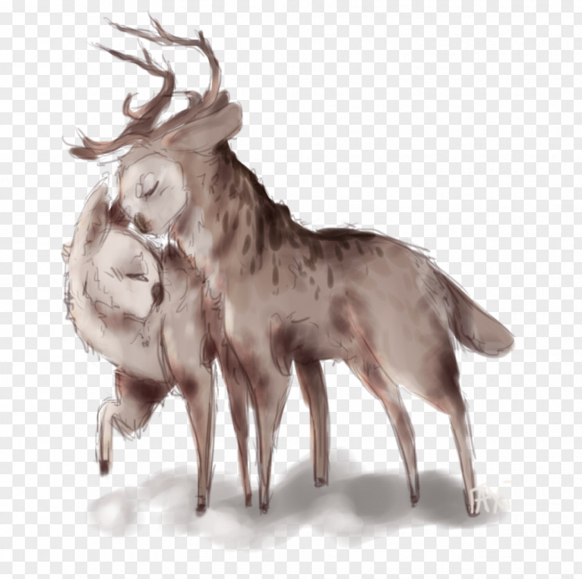 Reindeer Dog Antler Canidae Snout PNG