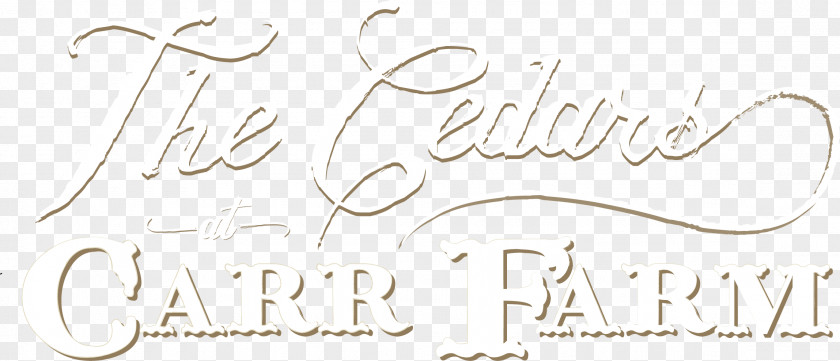 Special Event Banners Paper Calligraphy Font Writing Line PNG