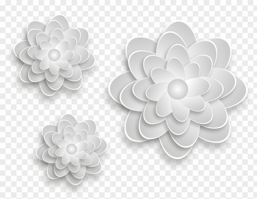 Flower Black And White Petal PNG